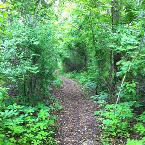 Meet your Posher, Heidi